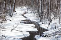 roadside-stream-2_img_0515