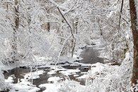 roadside-stream_img_0511