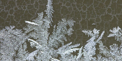Frost on the Window