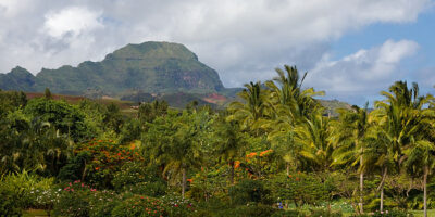 Kauai, the Garden Island, in the Garden
