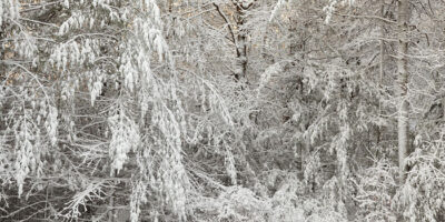 Winter Has Struck Again